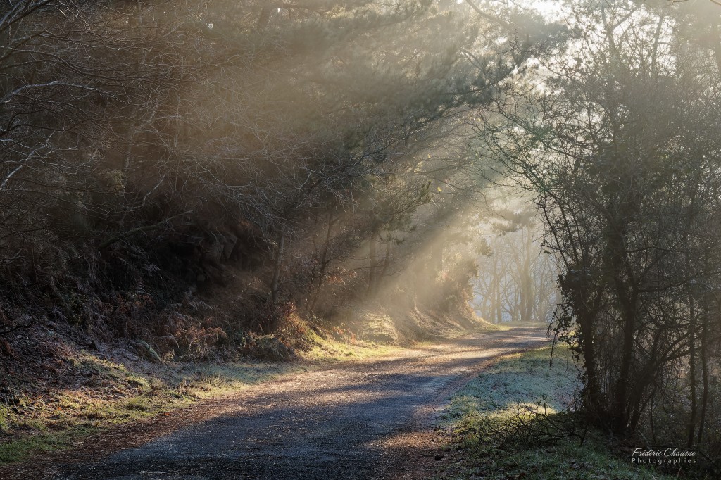 brume matinale