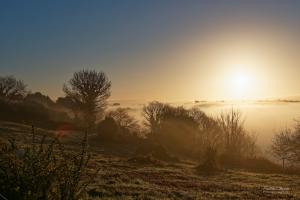 brume matinale