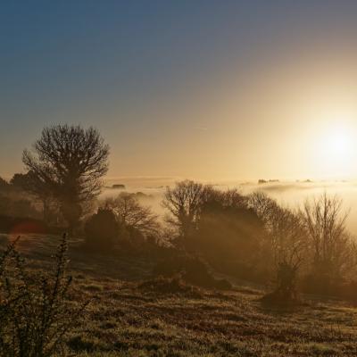 brume matinale