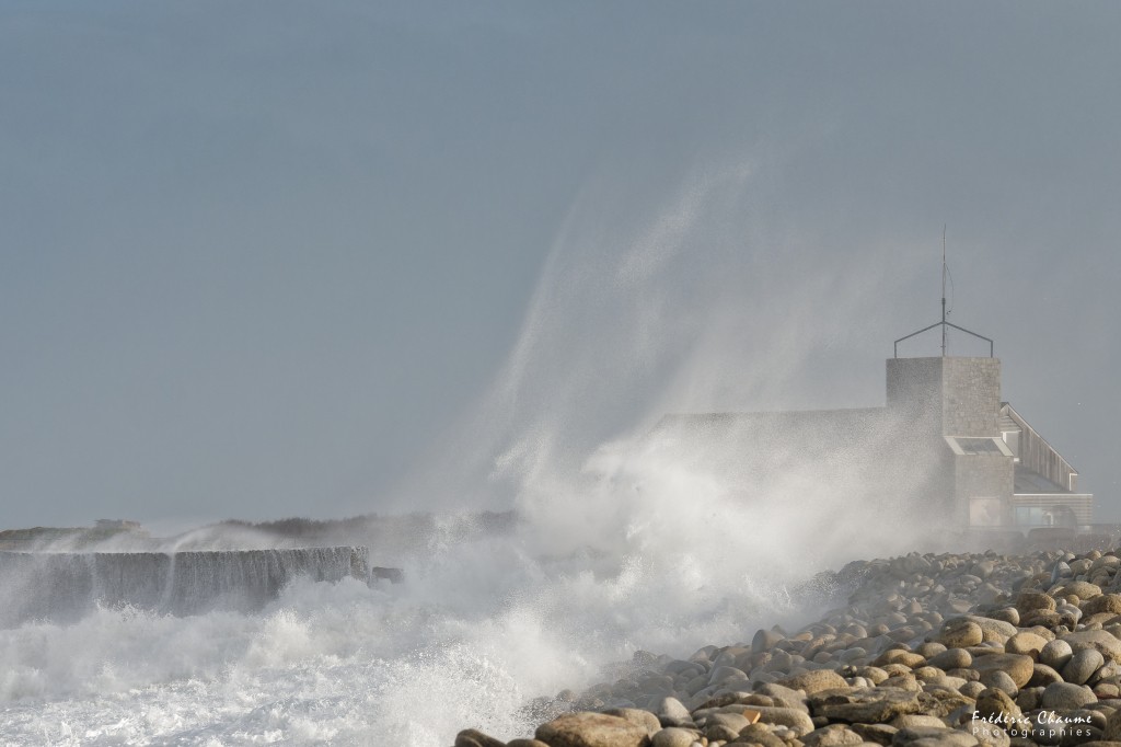 Tempête sur la LPO