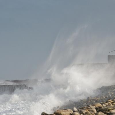 Tempête sur la LPO