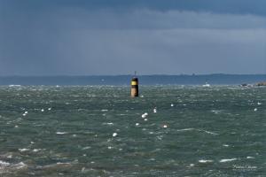 le port St Sauveur