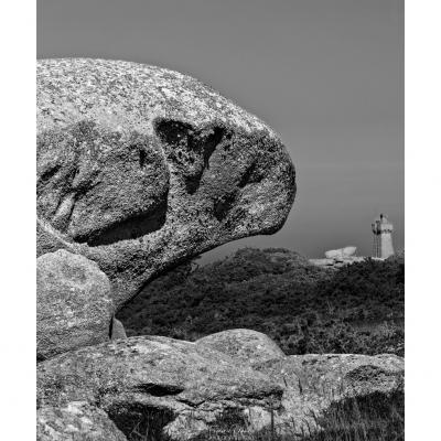 le dieu Horus