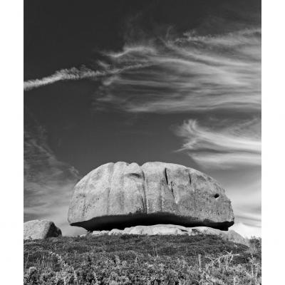 le champignon