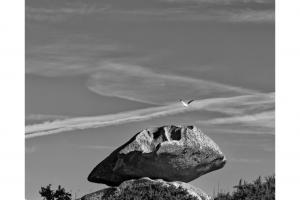 la soucoupe et le Goeland