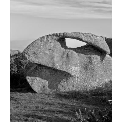 Portraits de granit