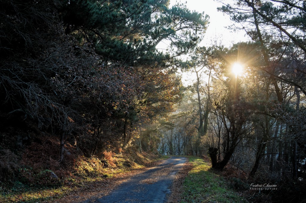 le petit chemin..